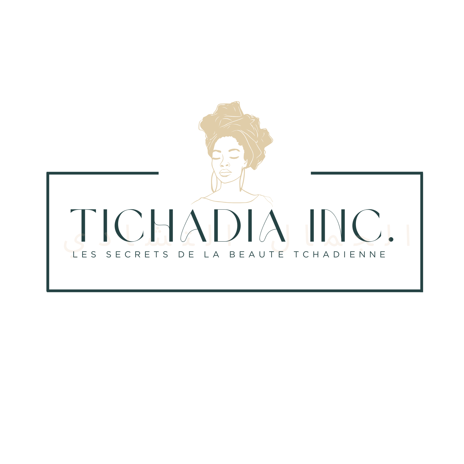 logo tichadia inc